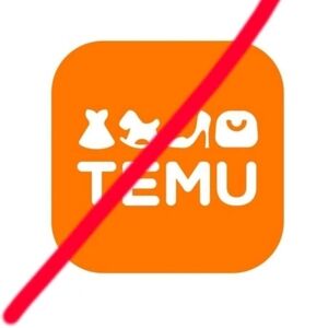 No Temu, No Shein, No AI, No Thrift Store Items